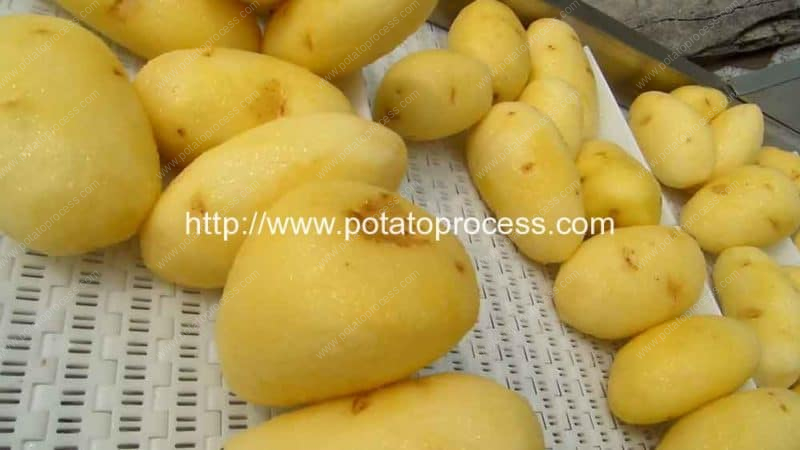 Potato-Washing-and-Potato-Peeling-Machine