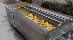Brush Roller Type Potato Washing Peeling Machine