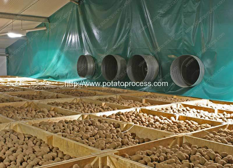 How-to-Storage-Potato