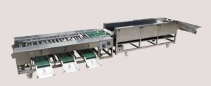 Integrated Type Automatic Potato Cleaning and Grader Line