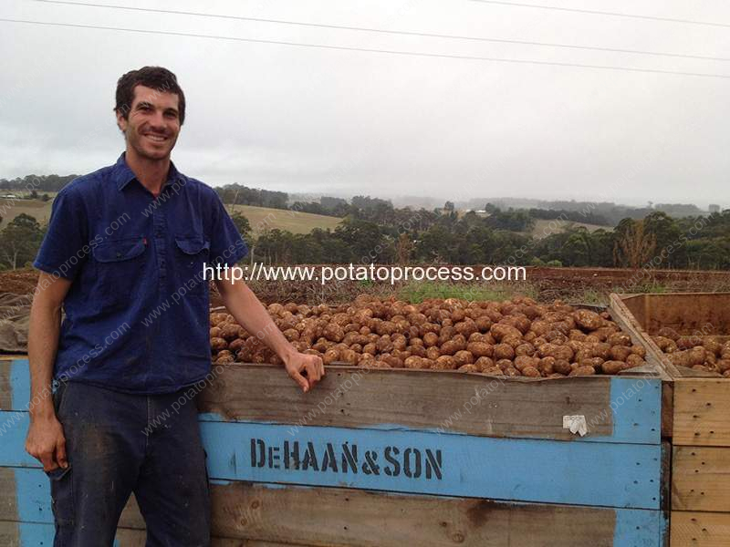 Australia Potato Chips Industry Introduction