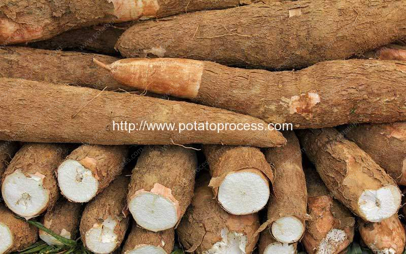 Automatic Cassava Flour Production Line for Sale