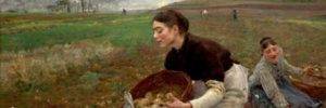 A brief history of that most noble tuber: The Potato