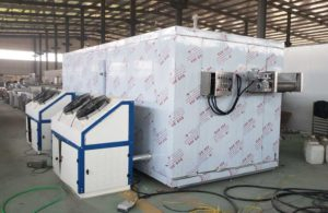 Automatic 100kgh Frozen French Fries Instant Freezer for Botswana Customer