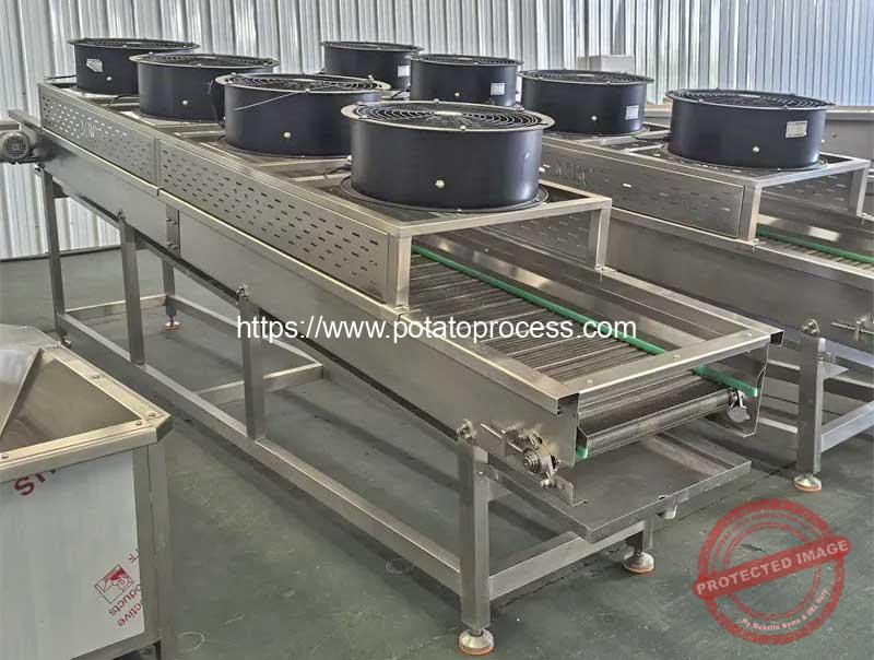 Automatic-Potato-Chips-Air-Blow-Cooling-Deoiling-Machine-with-Full-Cover