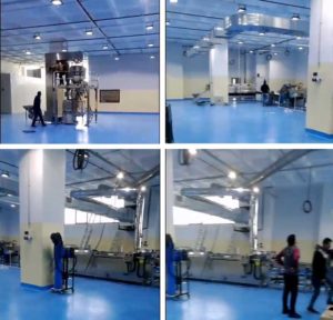 Automatic French Fries Production Installation in Africa
