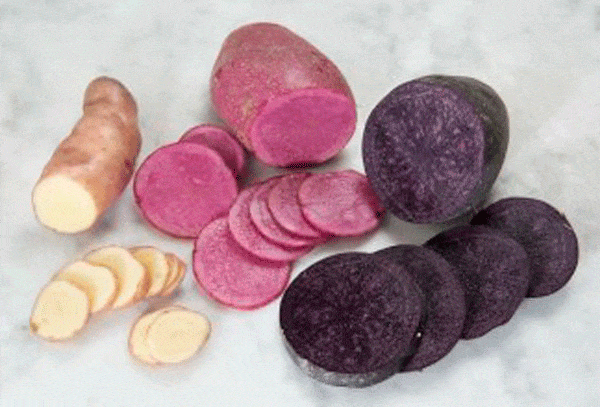 Heritage and specialty potato varieties take Ireland by storm