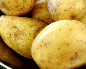 Potatoes – a healthy powerhouse for every day