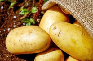 Potato Uses and Potato Processing Machine Review in 2020
