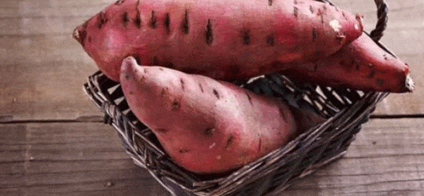 Sweet Potato Health Benefits: Here's Why Shakarkandi Is Great For Skin And Overall Health