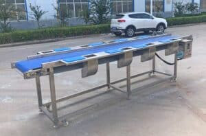 Automatic Potato Inspection Conveyor with Cutting Board Automatic Potato Inspection Conveyor with Cutting Board