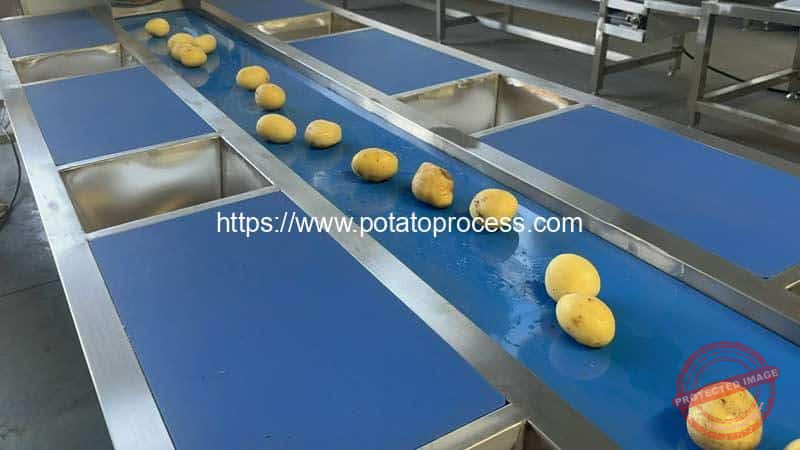 Automatic-PVC-Belt-Potato-Selection-Conveyor-for-Cutting-Table