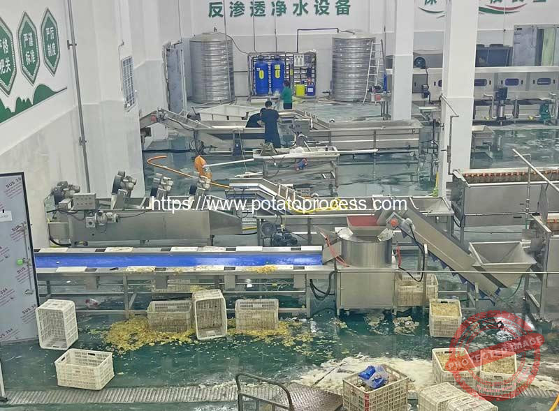 Potato-Processing-Factory-Visit-for-Selection-Conveyor-Washing-Peeling-Machine