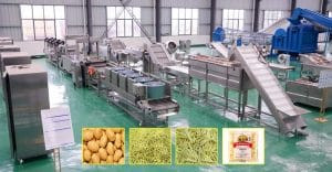 Full Automatic 500KGH Frozen French Fries Production Line Full Automatic 500KGH Frozen French Fries Production Line