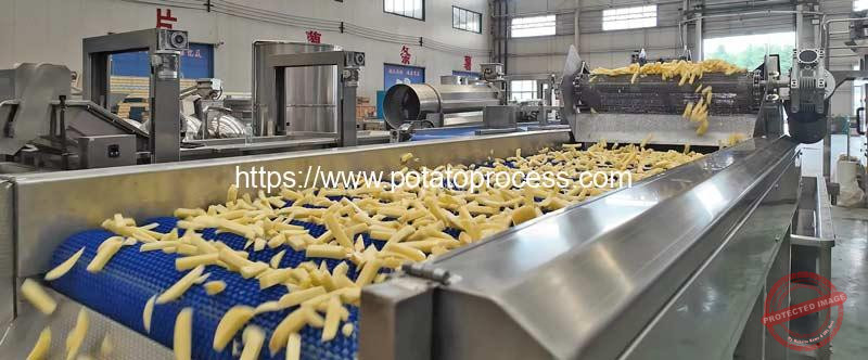 Automatic-Roller-Brush-French-Fries-Impurity-Removing-Sorting-Machine