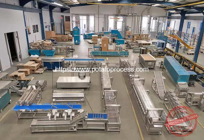 Automatic-Vegetable-Fruit-Processing-Machine-Manufacturer-Factory-Visit
