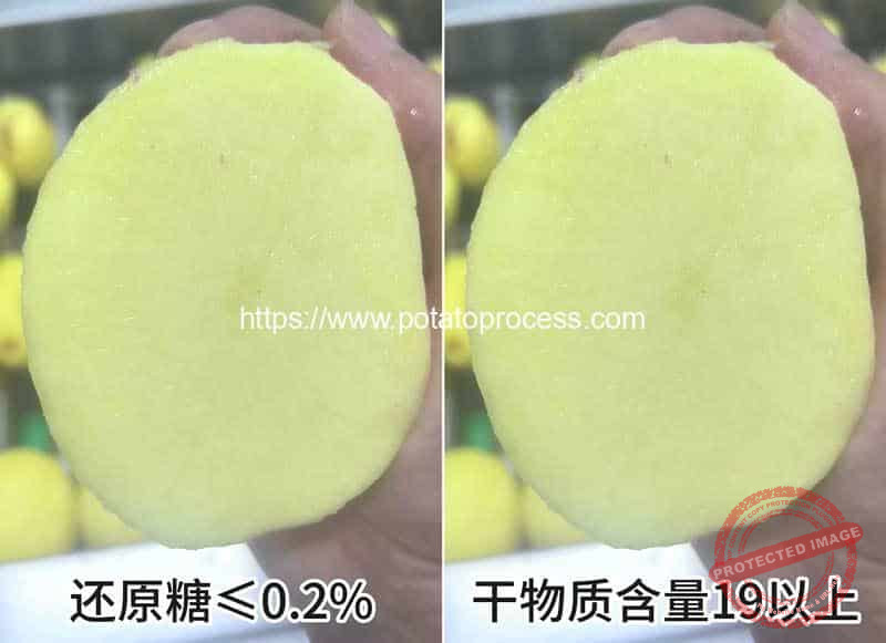 Good-Quality-Potato-For-Potato-Chips-and-French-Fries